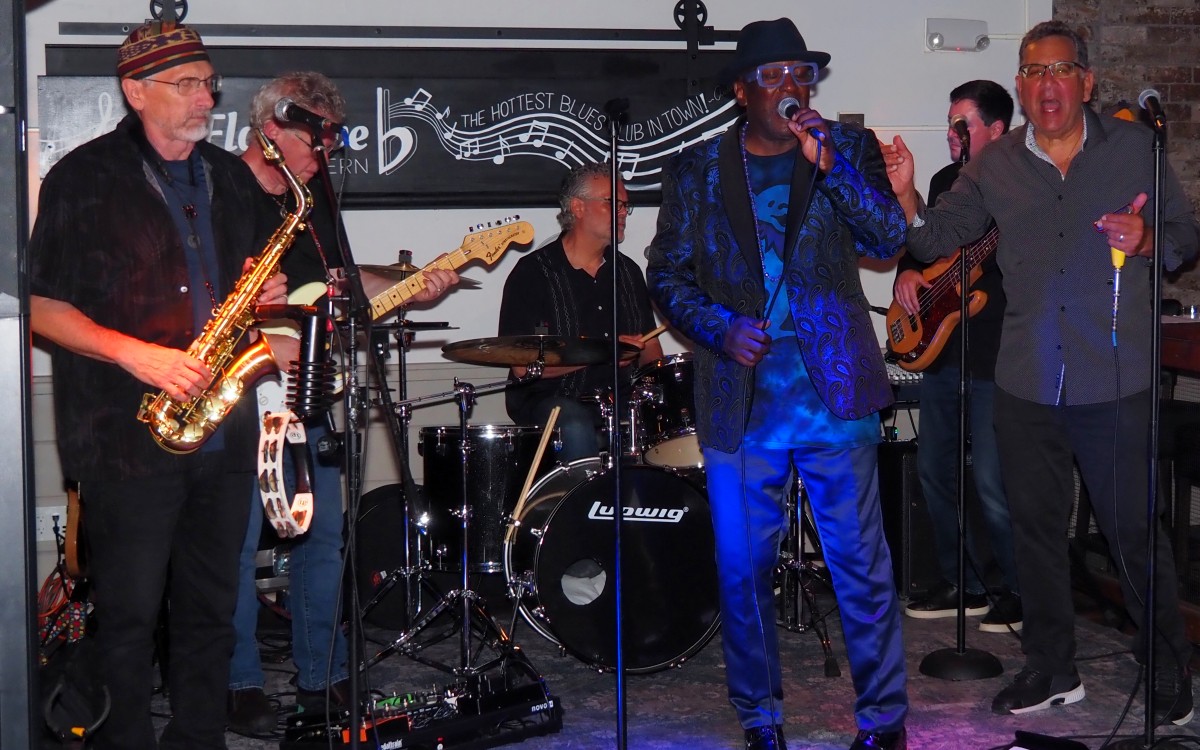 Snake Hill Blues in Action